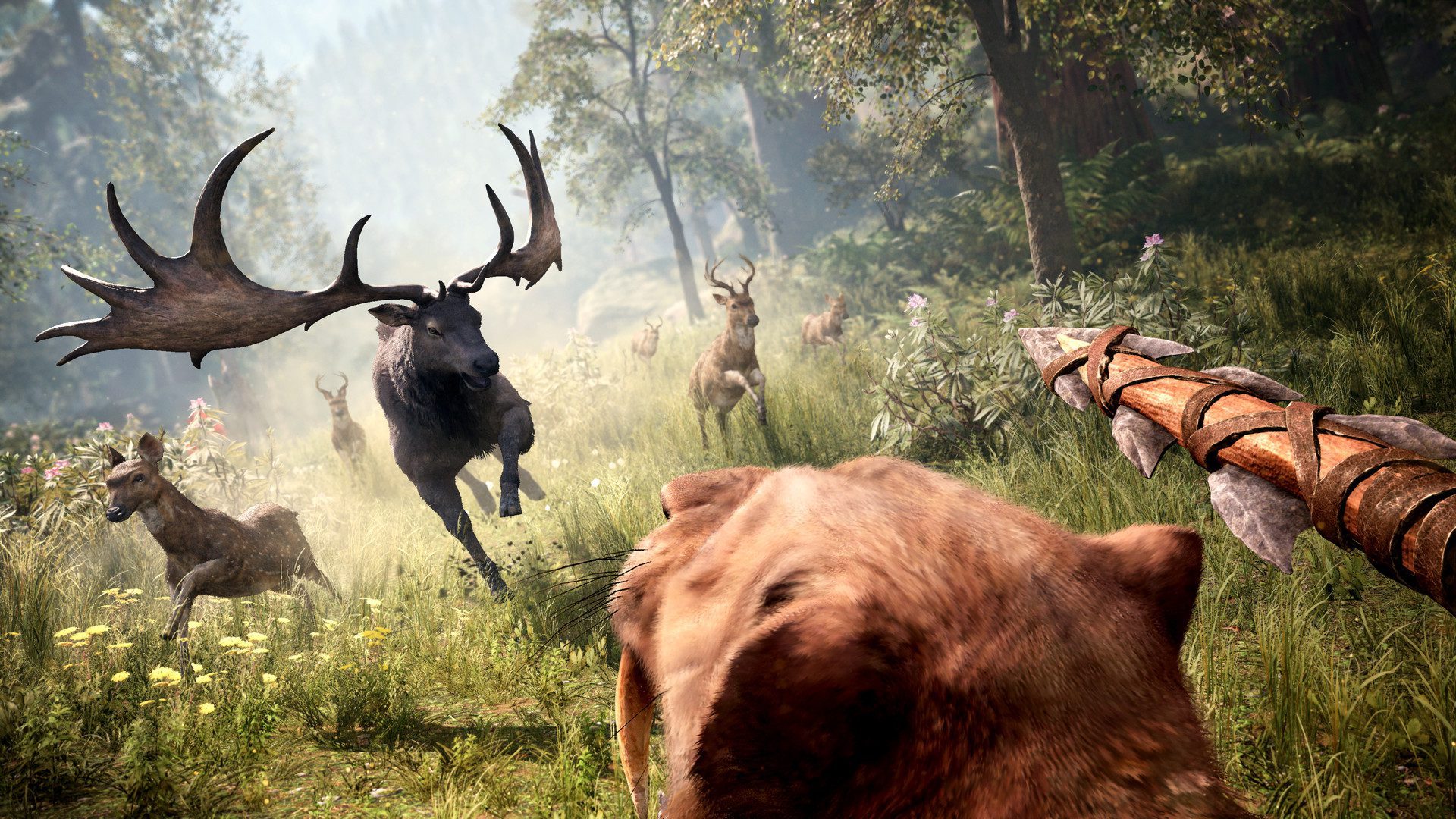 far cry primal