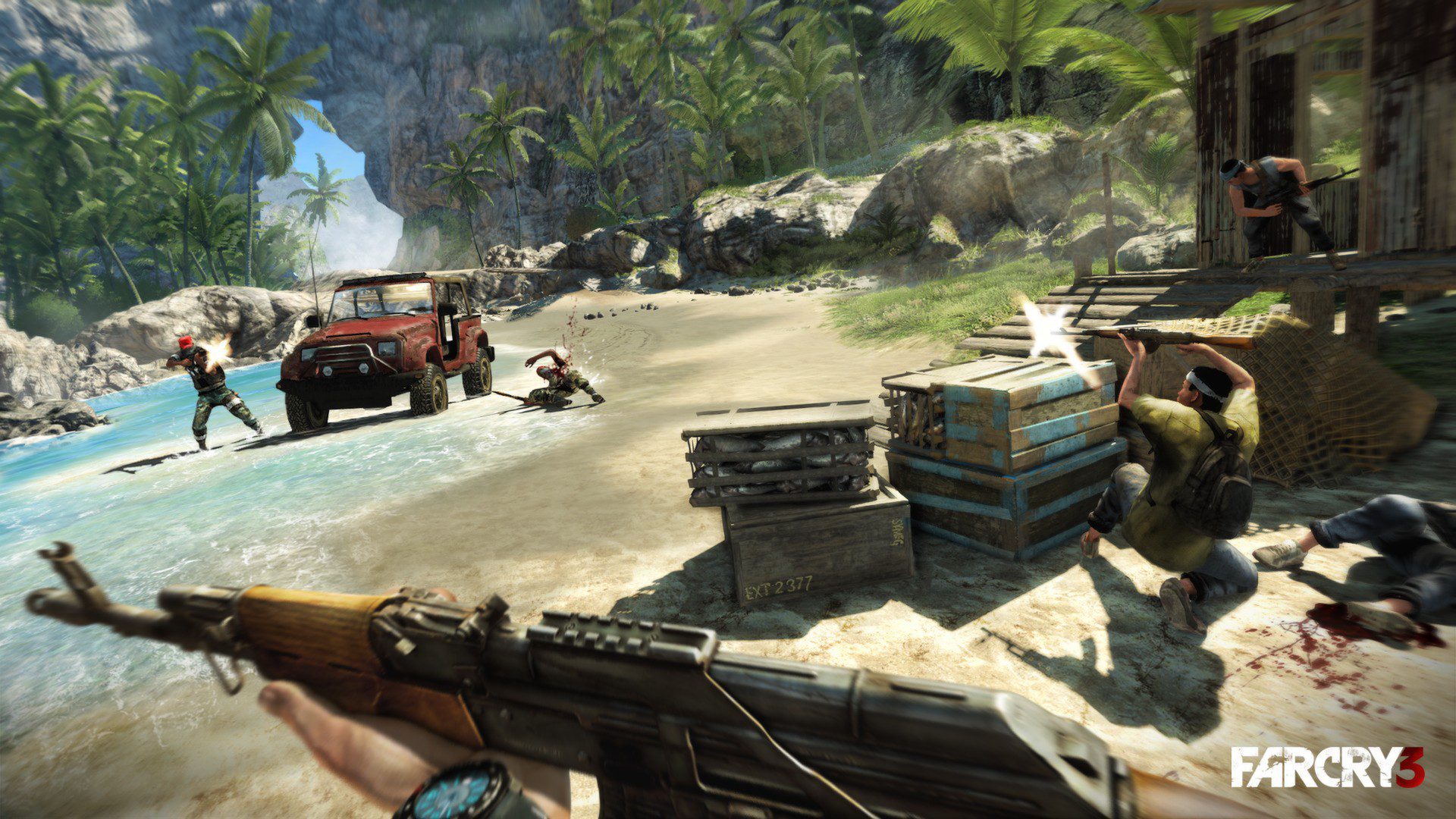 far cry 3